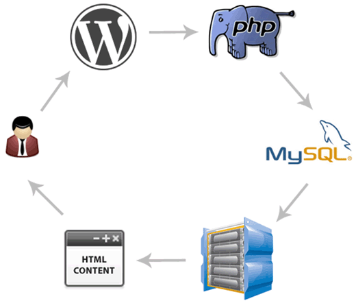 Как WordPress генерирует html страницу