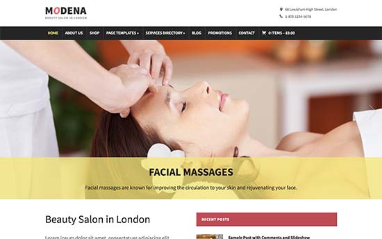 Шаблон Modena для WordPress