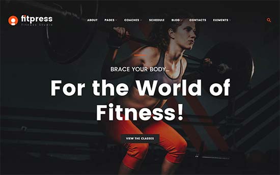 Шаблон fitpress