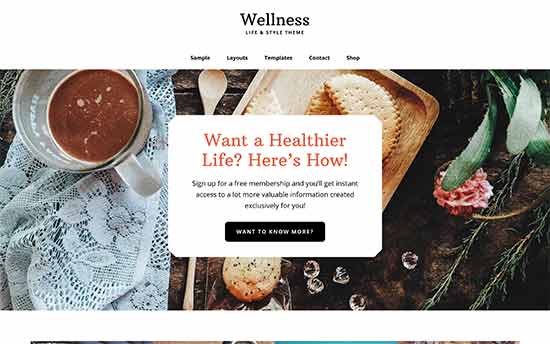 Шаблон wellness