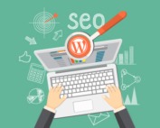 WordPress seo Гайд для начинающих